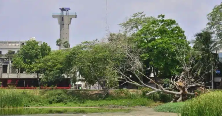 sequía extrema vacía las lagunas urbanas