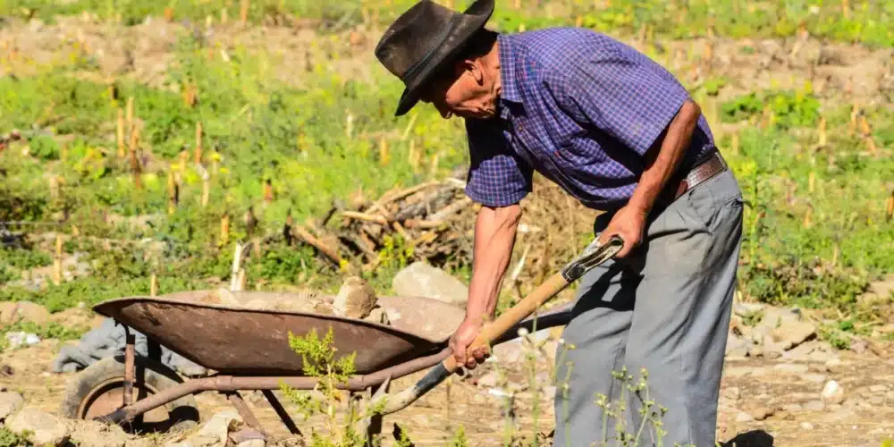 tabasco ante el reto de envejecer