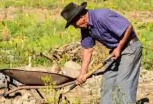 tabasco ante el reto de envejecer