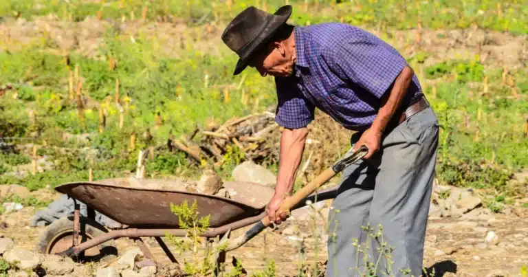 tabasco ante el reto de envejecer