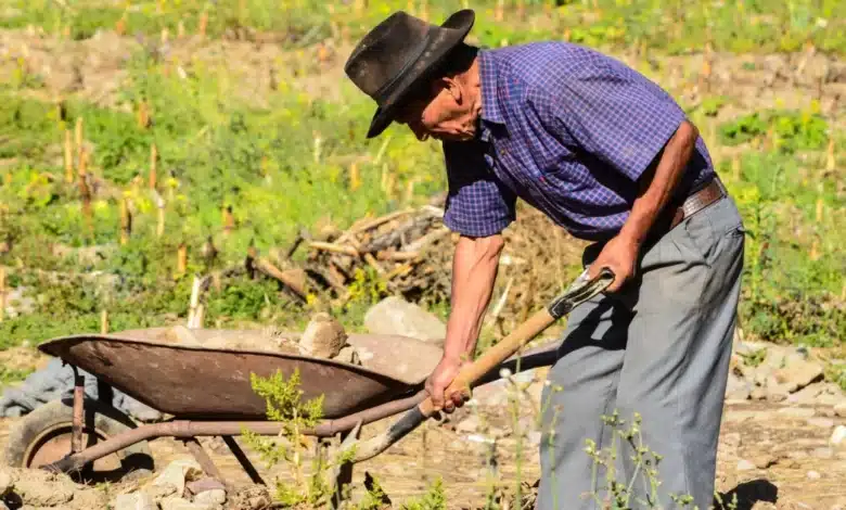 tabasco ante el reto de envejecer