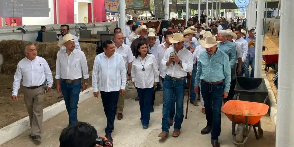 tabasco consolida su potencia ganadera con la cuarta muestra mexicana del cebú