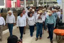 tabasco consolida su potencia ganadera con la cuarta muestra mexicana del cebú