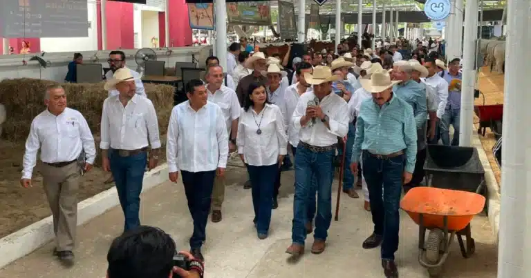 tabasco consolida su potencia ganadera con la cuarta muestra mexicana del cebú