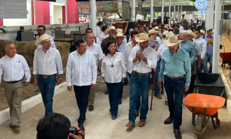 tabasco consolida su potencia ganadera con la cuarta muestra mexicana del cebú
