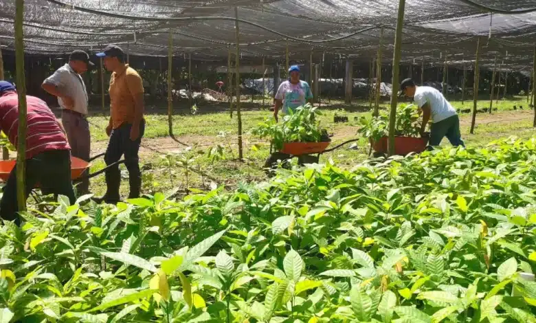 viveros estatales abastecerán jornada de reforestación