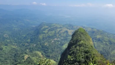 agua selva en tabasco cascadas, aventura y cultura zoque en huimanguillo