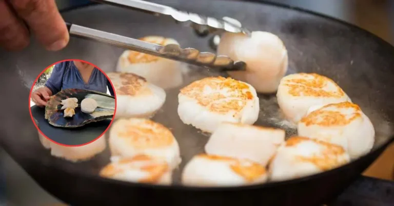 callo de hacha, el tesoro del mar que conquista la gastronomía mexicana