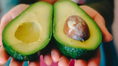Se necesita reabrir frontera al aguacate mexicano a la brevedad (Foto de internet)