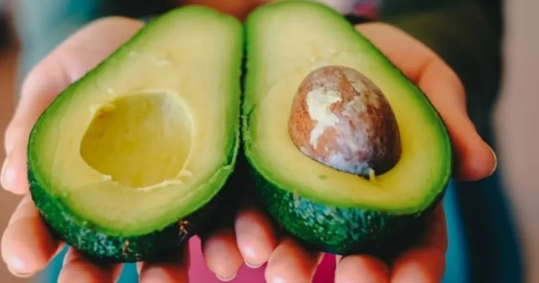Se necesita reabrir frontera al aguacate mexicano a la brevedad (Foto de internet)