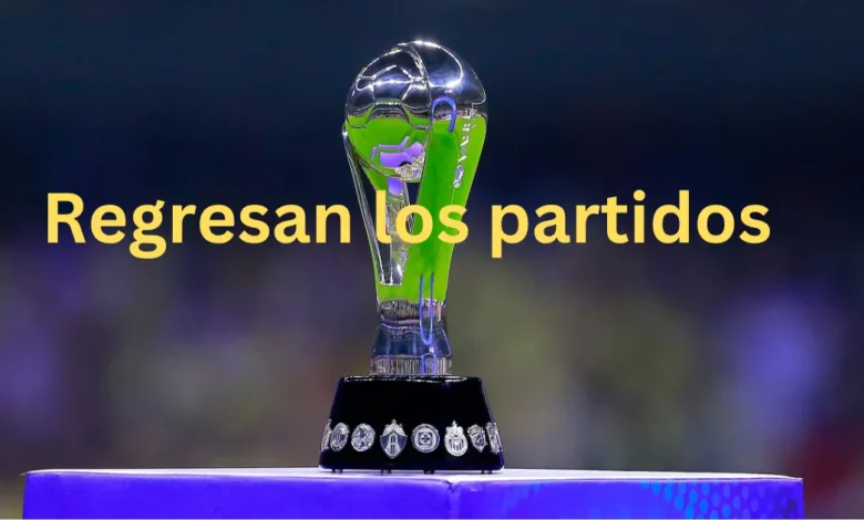 ¿Cuándo regresa la Liga MX tras pausa por la Leagues Cup? (Imagen de internet)