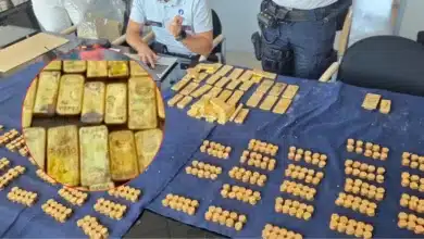 Albañiles encuentran lingotes de oro valuado en 9 millones de euros (Foto de internet)