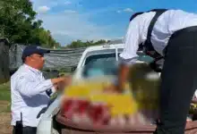 Decomisan más de 313 mil cervezas en operativos