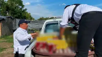 Decomisan más de 313 mil cervezas en operativos