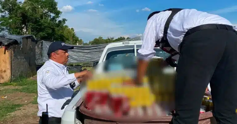 Decomisan más de 313 mil cervezas en operativos