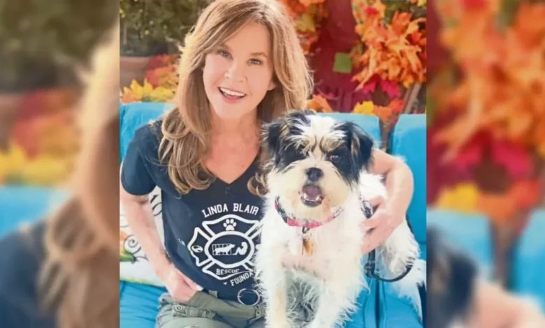 investigan refugio de perros de linda blair, estrella de el exorcista
