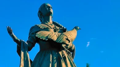 lucha villa la cirugía que la alejó de los escenarios
