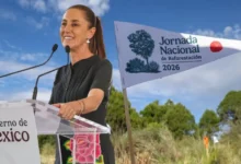 méxico planta 6.6 millones de árboles en un día