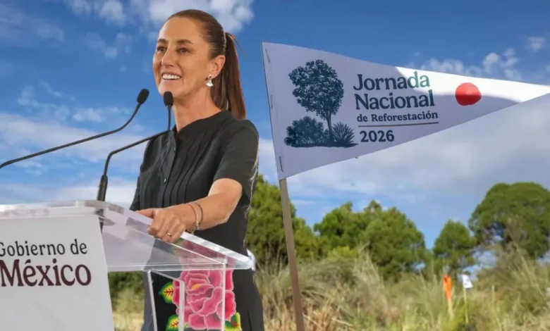 méxico planta 6.6 millones de árboles en un día