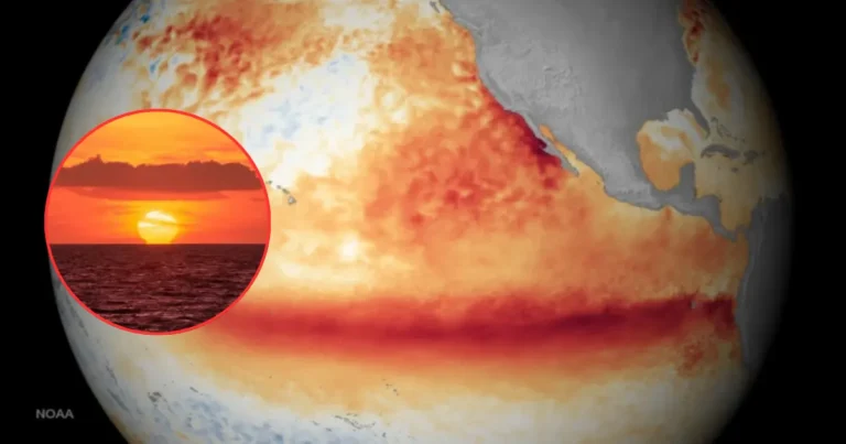 océanos del planeta alcanzan nueva temperatura récord mientras el niño se intensifica