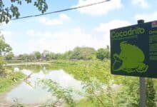 "La Encantada" se extingue por la ola de calor 