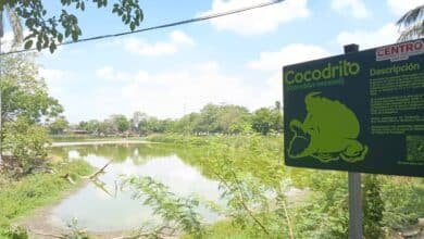 "La Encantada" se extingue por la ola de calor 