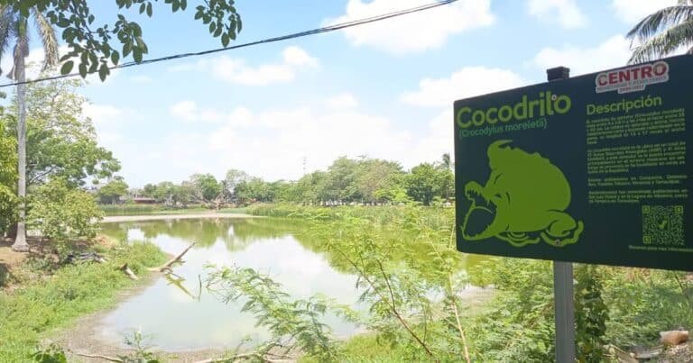 "La Encantada" se extingue por la ola de calor 