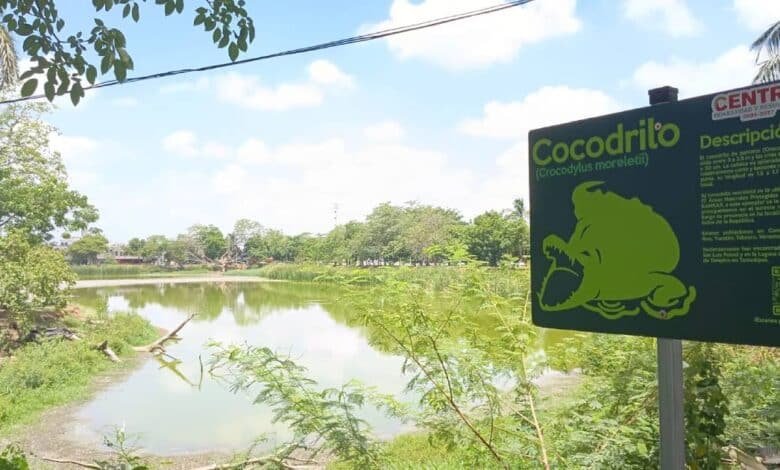 "La Encantada" se extingue por la ola de calor