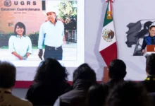 sonora reabre frontera con estados unidos para exportación de ganado sheinbaum