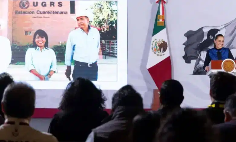 sonora reabre frontera con estados unidos para exportación de ganado sheinbaum