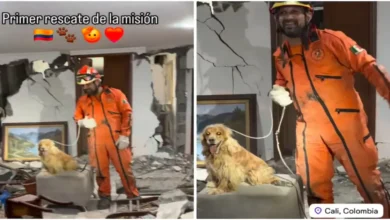 topos azteca realizan su primer rescate en colombia tras terremoto de 7.4