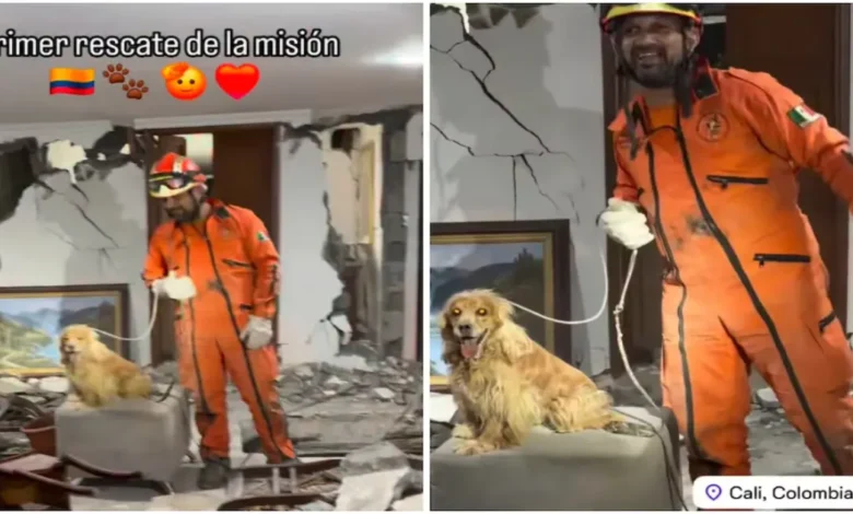 topos azteca realizan su primer rescate en colombia tras terremoto de 7.4