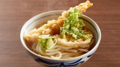 udon qué es, cómo se prepara y cuáles son sus variedades más populares