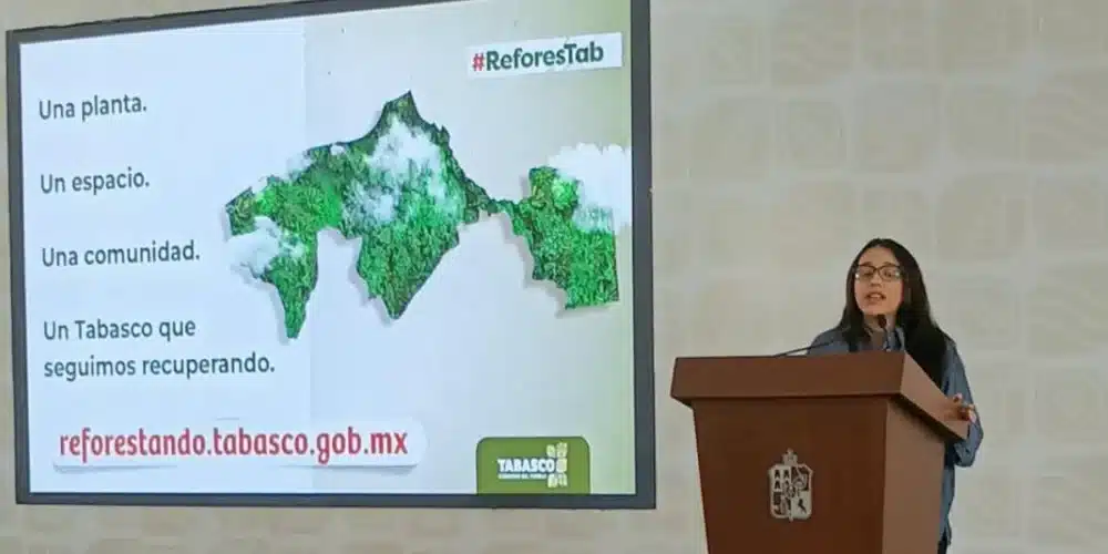 avanza tabasco hacia la meta de reforestar 2.5 millones de árboles