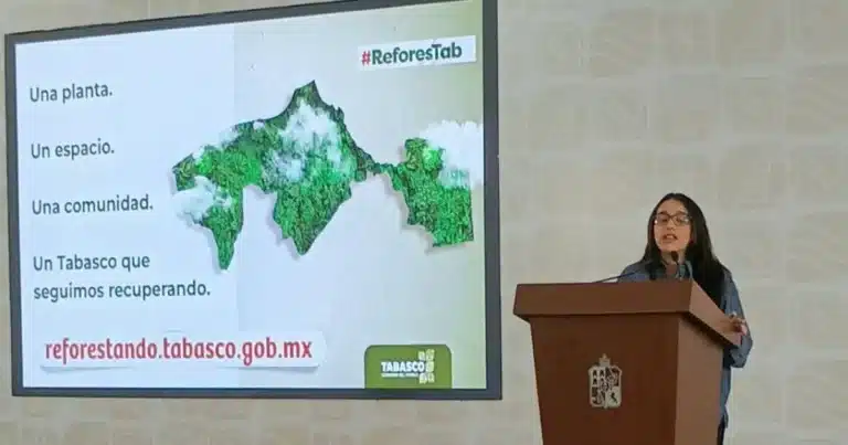 avanza tabasco hacia la meta de reforestar 2.5 millones de árboles