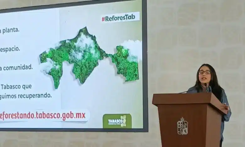 avanza tabasco hacia la meta de reforestar 2.5 millones de árboles