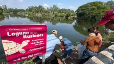 ciudadanía al rescate de las ilusiones