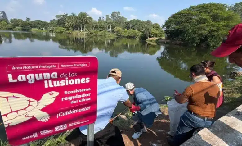 ciudadanía al rescate de las ilusiones