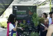 el museo papagayo abre un rincón verde lleno de vida
