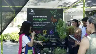 el museo papagayo abre un rincón verde lleno de vida