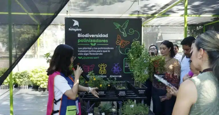 el museo papagayo abre un rincón verde lleno de vida