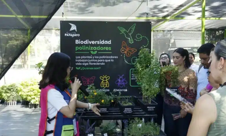 el museo papagayo abre un rincón verde lleno de vida