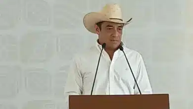 Transformación del campo tabasqueño reporta más de 1.5 millones de plantas (Foto de Felipe Rosales)