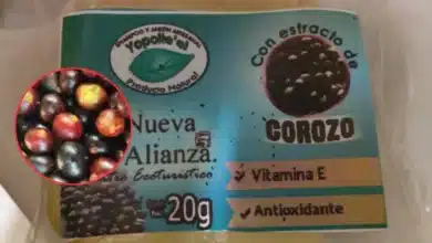 ¿Conocías el Jabón artesanal de corozo? Su origen en Chontalpa (Fotos de internet)