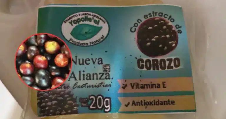 ¿Conocías el Jabón artesanal de corozo? Su origen en Chontalpa (Fotos de internet)
