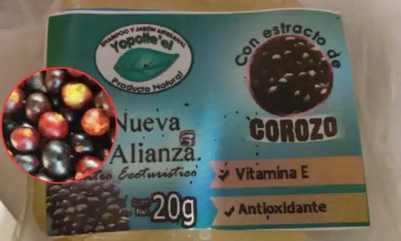 ¿Conocías el Jabón artesanal de corozo? Su origen en Chontalpa (Fotos de internet)