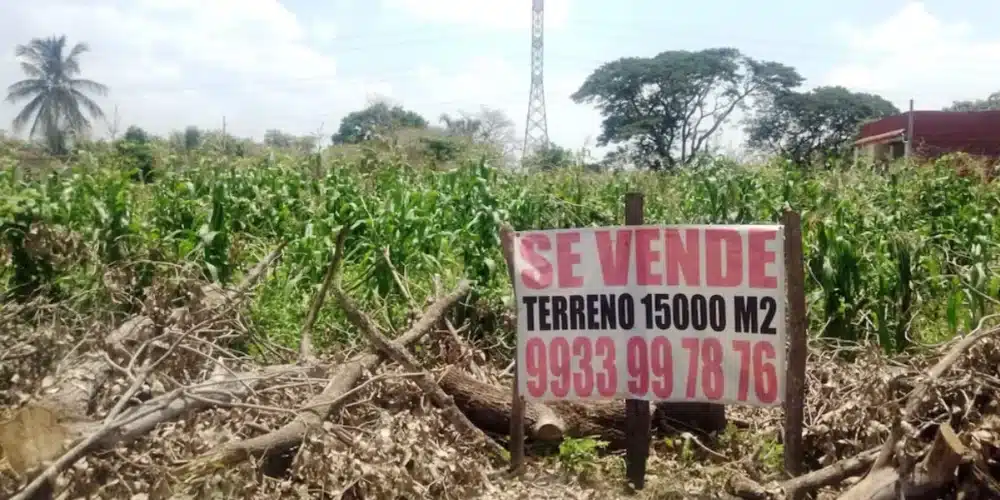 Invasiones y fraudes en preventas amenazan al sector inmobiliario en Tabasco: AMPI (Foto de internet)