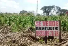 Invasiones y fraudes en preventas amenazan al sector inmobiliario en Tabasco: AMPI (Foto de internet)