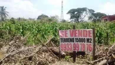 Invasiones y fraudes en preventas amenazan al sector inmobiliario en Tabasco: AMPI (Foto de internet)