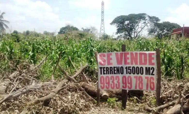 Invasiones y fraudes en preventas amenazan al sector inmobiliario en Tabasco: AMPI (Foto de internet)